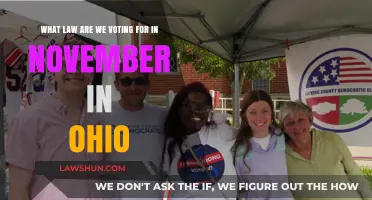 Ohio's November Ballot: Understanding the Proposed Law and Its Impact