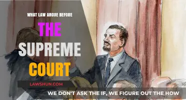 Key Legal Arguments Presented Before the Supreme Court: A Deep Dive