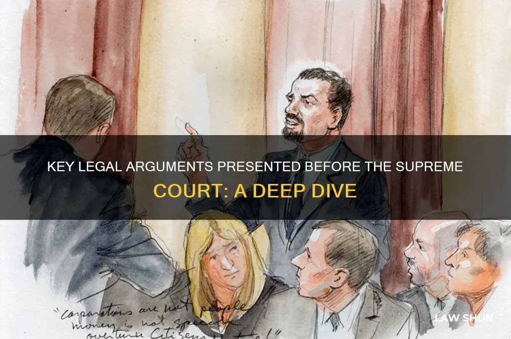 what law argue before the supreme court
