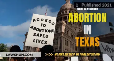 Texas Abortion Ban: Understanding the Controversial Law