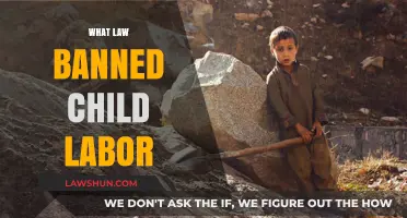 Ending Child Labor: The Landmark Law That Changed Everything