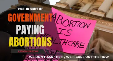 The Government's Abortion Payment Ban: What's the Law?