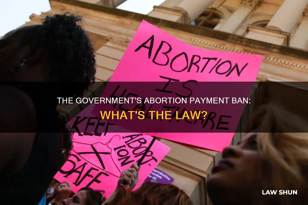 what law banned the government paying abortions