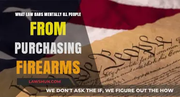 Mental Health and Gun Control: Understanding Firearms Purchase Restrictions