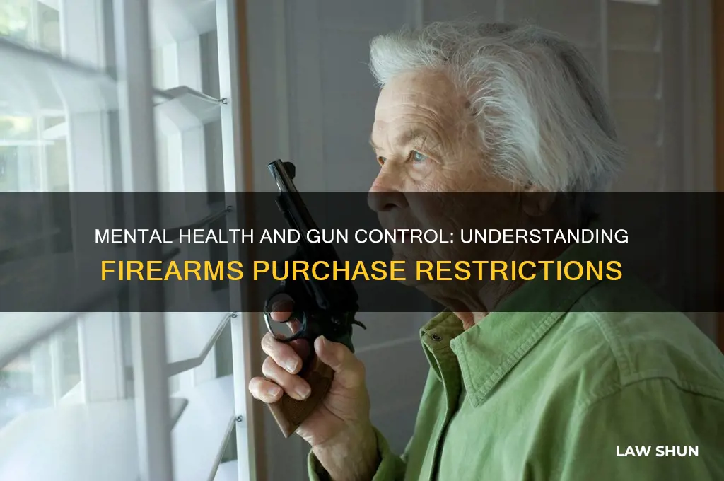 what law bars mentally ill people from purchasing firearms