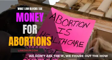 Abortion Funding: Legal Obstacles and Taxpayer Dollars