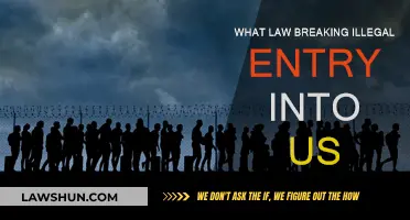 Illegal Entry into the US: Understanding the Law and Consequences