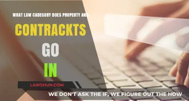 Understanding Legal Categories: Where Property and Contracts Belong in Law