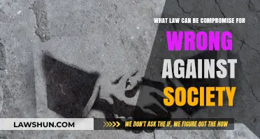 Society's Laws: When Compromise is a Crime