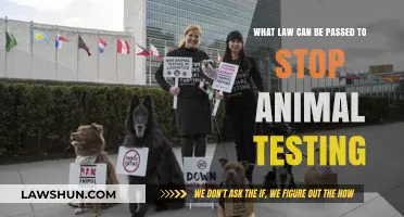 Ban Animal Testing: A Humane Law for Progress