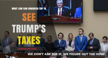 Trump's Taxes: Can Congress Use the Law?
