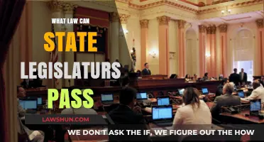 How State Legislatures Create Laws