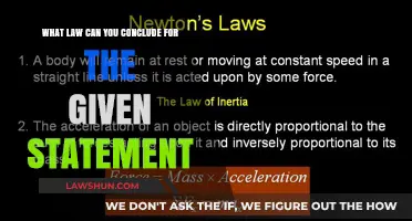Laws Behind Statements: Decoding the Legalities