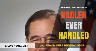 Jerry Nadler's Legal Legacy: Notable Cases Handled