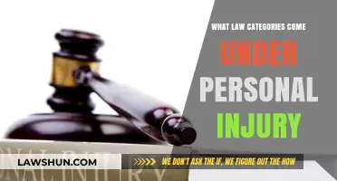 Understanding Personal Injury Law: Key Categories Explained
