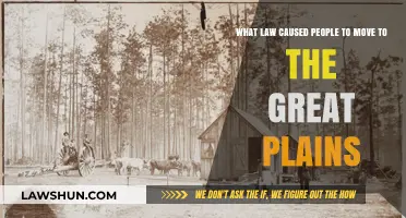 Homestead Act: The Catalyst for Great Plains Migration