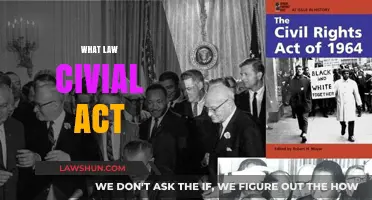 Understanding the Civil Act: Key Legal Principles and Applications