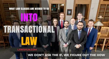 Essential Law Courses for a Career in Transactional Law Practice