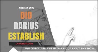 Darius the Great's Legal Legacy: Establishing the Persian Law Code