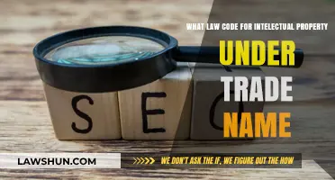 Understanding Intellectual Property Law Codes for Trade Names: A Comprehensive Guide