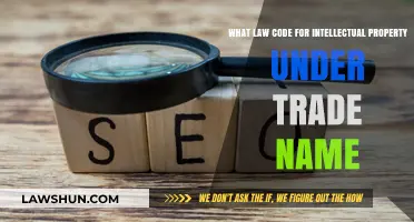 Understanding Intellectual Property Law Codes for Trade Names: A Comprehensive Guide