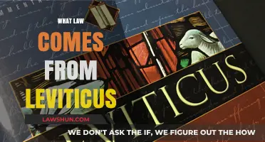 Understanding Leviticus: Exploring the Biblical Laws and Their Modern Relevance