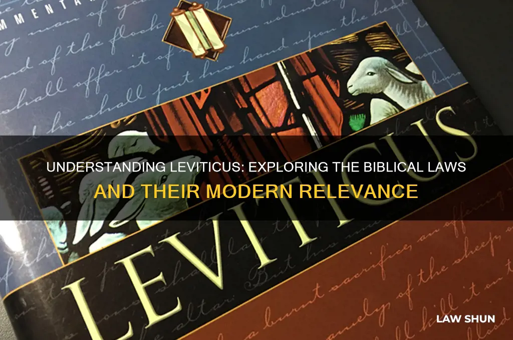 what law comes from leviticus