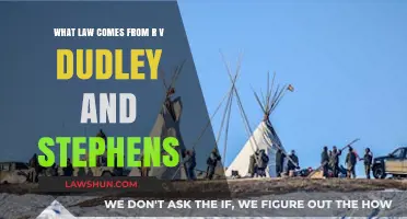 R v Dudley and Stephens: The Landmark Case Defining Necessity Defense Law
