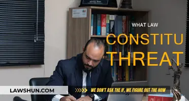 Understanding the Legal Definition of Threat and Intimidation