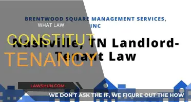Understanding Tenancy: Legal Rights and Responsibilities