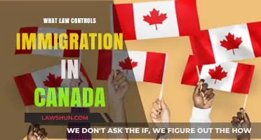 Canadian Immigration: Understanding the Governing Laws