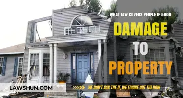 Understanding Property Damage Law: Coverage for $5,000 Losses