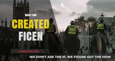 The Law Behind Fincen's Creation