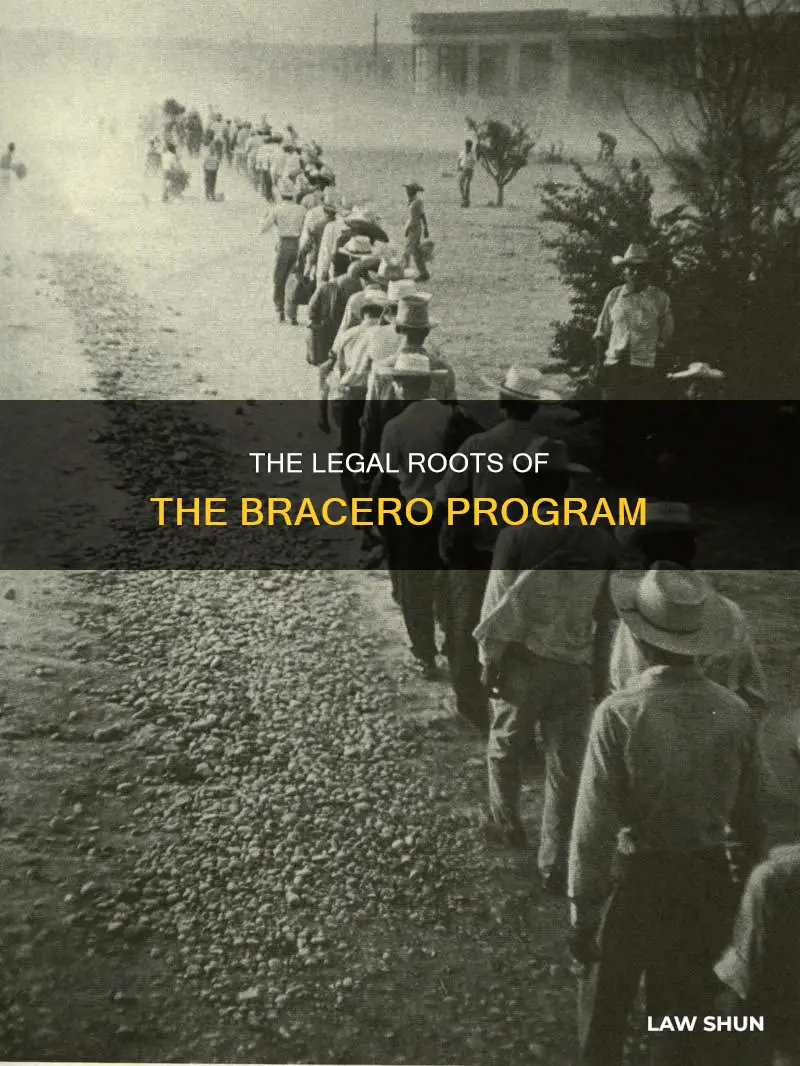 what law created the bracero program