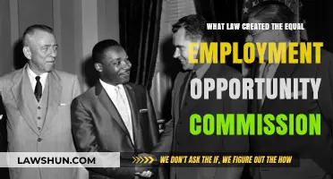 The EEOC: A Law for Equality in Employment