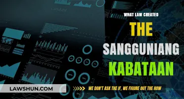 How the Local Government Code of 1991 Established the Sangguniang Kabataan