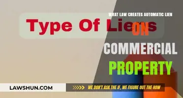 Understanding the Law: Commercial Property and Automatic Liens