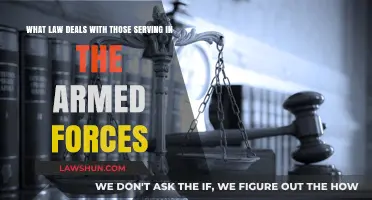 Military Justice: Understanding the Law Governing Armed Forces Service