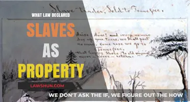 The Legal Declaration of Slaves as Property: A Historical Overview