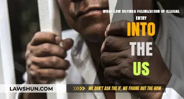 Understanding Felonization Laws for Illegal Entry into the United States