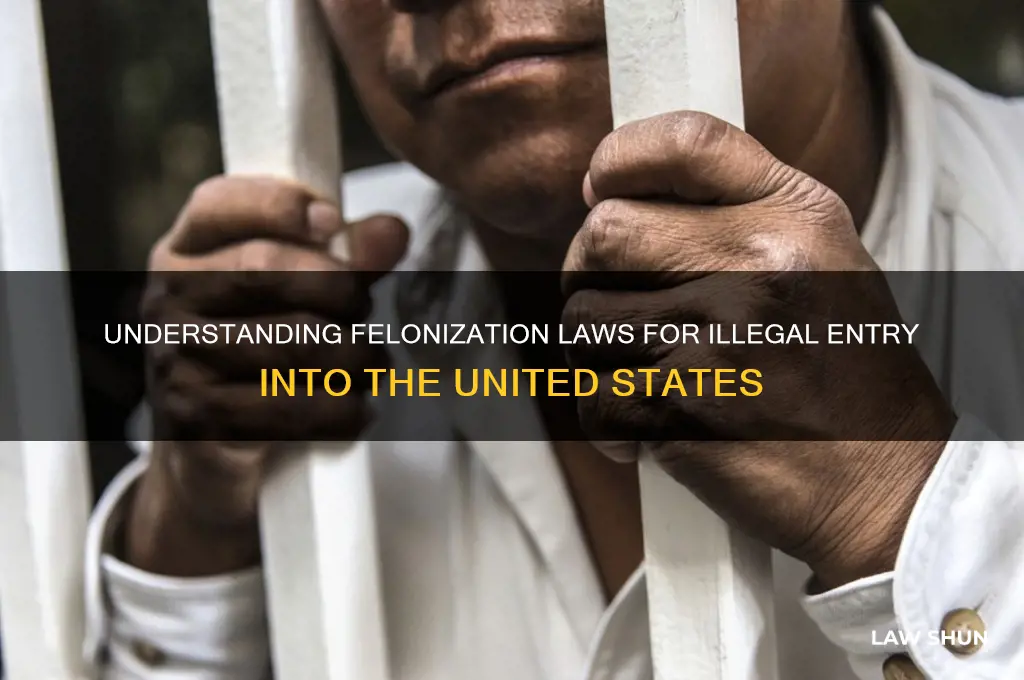 what law defines felinization of illegal entry into the us