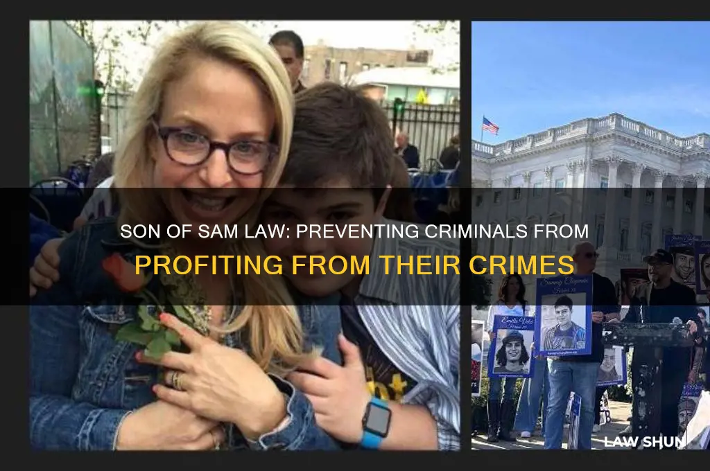 what law denies convicted offenders from profiting from their crimes