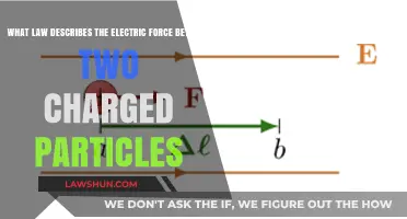 Coulomb's Law: Understanding Electric Force Between Charged Particles