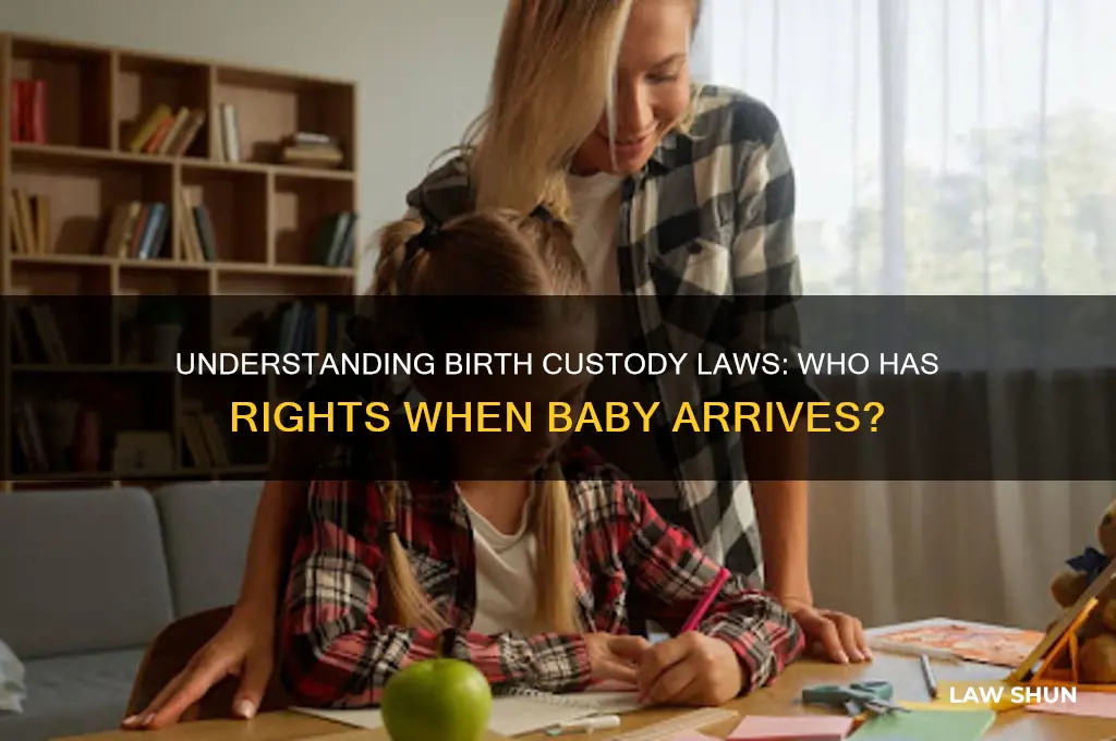 what law determines custody when a child is born