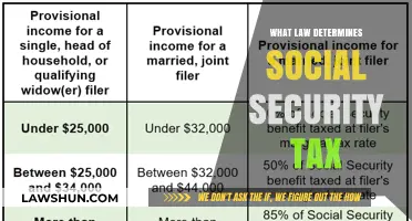 Understanding Social Security Tax Laws