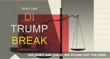 Trump's Legal Troubles: Which Laws Did He Break?