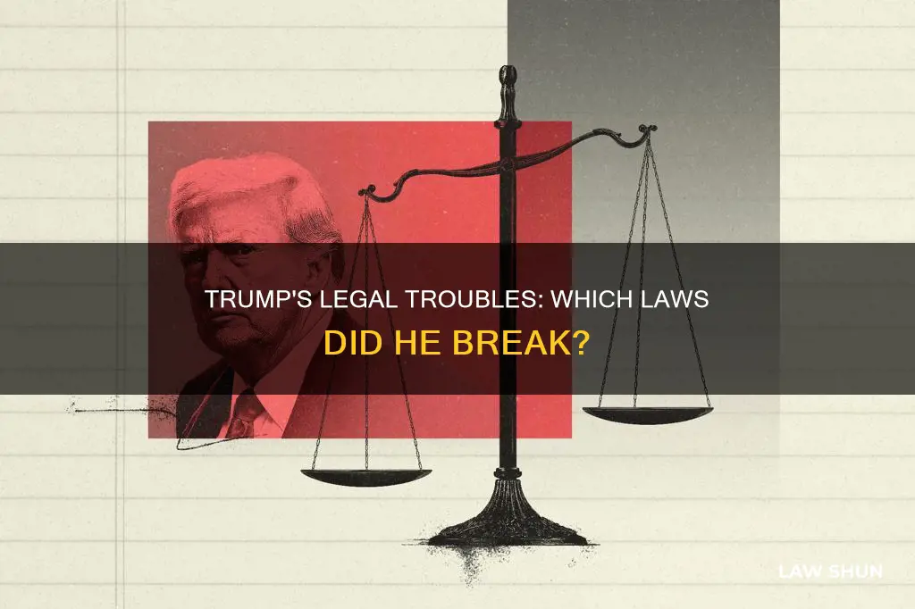 what law di trump break