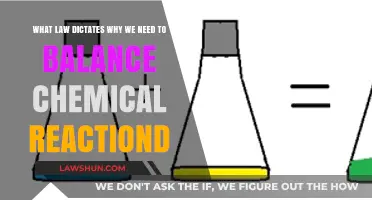 Balancing Chemical Reactions: The Law of Conservation of Mass Explained