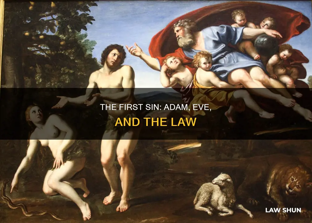 what law did adam and eve break