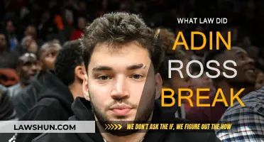 Adin Ross's Legal Troubles: What Laws Were Broken?